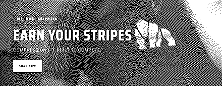 The silverbackstripes.com homepage hero, with the headline Earn Your Stripes over a photograph of a grappling session.